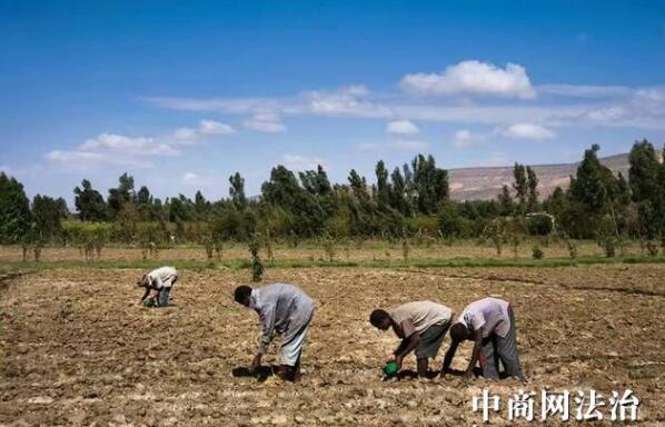 埃塞俄比亚马卡莱监狱是一间让囚犯不想逃出的监狱,面包房、水果屋、美容店……企业化的经营模式,让他们在监狱里也能挣钱,养家糊口。有些人甚至在出狱后,还继续留在监狱的合作社工作。对他们来说,这里就是第二个家。 在监狱里开砖场 开理发店 做裁缝 做医生护士 还可以做农民 监狱里面还有银行,可以把自己赚到的钱寄回家 还有图书馆 很注重犯人的文化心理的教育 还会举办一些体育活动 这是由国际劳工组织(ILO)创建的一个项目,最初由意大利发展合作组织提供资金,现在该监狱通过小额贷款实现资金自给。 文章来自:中国商务新闻网