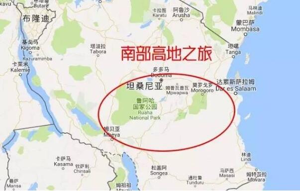 　　出门旅行，你最怕啥？  　　钱花了  　　时间没了  　　累的像条狗  　　却没玩到最好玩的景点！  　　坦桑尼亚这么大，野生动物这么多，光国家公园就有12个，到底怎么玩才不虚此行?小布特地写出这篇攻略，帮你将坦桑尼亚的主要景点一网打尽！  　　读完攻略，再也不用担心白跑一趟！  　　▼  　　    　　路线一：东部海岛之旅  　　推荐指数：★★★★★  　　静谧的海岛是坦桑尼亚最温柔的一面。坦桑尼亚的岛屿景点大都在东部，主要有两个：桑给巴尔岛、奔巴岛。  　　桑给巴尔岛是坦桑最大的岛屿。不同于马尔代夫之类纯海景游的岛屿，这里除了风光优美的海景，还有几百年殖民历史、黑奴贸易留下的各种遗迹。除此之外，众多的人口也使得这里充满烟火气，因而游客可以充分体验当地独特的人文风情。<史上最嗨桑岛旅行手册，看完就出发>  　　    　　    　　奔巴岛位于桑岛以北，是个少有人知的“秘密花园”，有时你甚至可以独享一片海滩；缺点是设施较落后，且价格不低于桑岛。原始干净，是奔巴岛最大的特点。来奔巴，最不能错过的就是米萨利岛。清澈的海水，精致的白沙，五彩的珊瑚礁，你会惊叹，这里就是天堂。  　　    　　▼  　　    　　路线二：北部狂野之旅  　　推荐指数：★★★★★  　　北部是坦桑尼亚旅游资源最为集中的地方。这里的景点，每一个说出去都是鼎鼎大名：阿鲁沙国家公园、曼雅拉湖、恩戈罗恩戈罗火山口、塞伦盖蒂草原、纳特龙湖。当然，最出名的当属乞力马扎罗山。  　　绿色之城阿鲁沙位于坦桑第二高峰梅鲁山下，坐拥周边丰富的旅游资源，是坦桑的游猎之都。离阿鲁沙城不远便是阿鲁沙国家公园。国家公园里最值得去的是梅鲁山，如果时间足够，可以花上四五天时间登顶它。阿鲁沙国家公园景色不算非常突出，但胜在近：从阿鲁沙出发，只需要一天，你就能游遍这里。  　　    　　曼雅拉湖有着为数众多的鸟类，在合适的季节里，曼雅拉湖是观火烈鸟的胜地。在湖岸边狭长的金合欢树丛里，还有机会看到会爬树的狮子，这可是曼雅拉湖最有特色的动物。至于能不能遇到，那就要看运气啦~  　　    　　    　　恩戈罗恩戈罗火山口，非洲最著名的自然奇观之一，世界上最完美的火山口之一。恩戈罗恩戈罗火山口如同一口平底锅，中间平坦，四周陡峭，动物进到这里后再难出去，便在这里繁衍生息了下去。因为生活在相对稳定的小环境里，所以这里的动物大都懒懒散散，很是悠闲。  　　    　　    　　塞伦盖蒂草原，如果用一个词来形容，那就是壮观。这里最让人感动的场景就是角马产子：每年2月，分散在塞伦盖蒂草原上的角马们会繁衍生息，每天超过8000只小角马诞生在这里。之后，小角马们将长大，并沿着祖辈的足迹，在大草原上不断迁徙。  　　    　　纳特龙湖，非洲最诡异的景点之一。在纳特龙湖中死去的动物很多都变成了干尸，而火烈鸟们却将这里当成了乐园。来到纳特龙湖的人，总会为这种死亡与诞生之间的纠缠而惊叹。<纳特龙湖：这里也许是非洲最诡异的景点。>  　　    　　乞力马扎罗山，最著名的非洲景点之一。在坦桑尼亚游乞力马扎罗山，除了远观，你还可以登顶乞力马扎罗山，验证自己的勇气。当然，身体、时间和金钱三样缺一不可，毕竟登山可不是项小工程哦~  　　登乞力马扎罗山之前，你一定要知道这7条路线有什么不同！    　　▼  　　    　　路线三：南部高地之旅  　　推荐指数：★★★★  　　绵延坦桑尼亚南部的高地是游客较少踏足的地区。这里主要的景点有米库米国家公园和鲁阿哈国家公园，还有非洲最大的野生动物保护区：赛卢斯禁猎保护区。  　　米库米国家公园是坦桑尼亚第四大的国家公园，从达累斯萨拉姆有公路直通这里，交通便利，非常适合没太多时间进行游猎的游客。在这里，全年都可以观赏野生动物。水牛、角马、长颈鹿、狮子之类的动物，进入公园不久就能看到，非常方便。  　　    　　鲁阿哈国家公园是坦桑尼亚大象数量最多的保护区，足足有12000多头，除此之外还有各类野生动物，它们共同构成了一个完整的生态系统。这里的动物因为较少有游客打扰，所以更具野性，远远的看到车来就会逃走。来这里玩，可不要打扰到它们哦~  　　    　　赛卢斯禁猎保护区是非洲最大的野生动物保护区，区内多为人烟稀少的荒野。这里有成群的大象，有非洲数量最多的狮子，还有坦桑尼亚最后幸存的黑犀牛群。流经保护区的鲁菲吉河还使得这里成了东非最大的集水区之一，水中生活着鳄鱼、河马等。多样而狂野，这就是赛卢斯！  　　    　　    　　    　　▼  　　    　　路线四：西部大湖之旅  　　推荐指数：★★★  　　沿着坦桑尼亚的西部，从北往南，境内一共有两个大湖：维多利亚湖和坦噶尼喀湖。这里的风景不算突出，但想要体验非洲的水乡风景的话，还是值得一去的。  　　维多利亚湖是非洲最大的湖，但是在坦桑尼亚这边的湖区基本上没什么游客。维多利亚湖上最值得一去的景点是鲁邦多岛国家公园。观鸟是多数游客来这里的目的，此外徒步游猎和乘船游也是不错的选择。不过这里可不能游泳，因为湖里有鳄鱼~  　　    　　坦噶尼喀湖位于坦桑尼亚与刚果的交界处，这里最值得一去的景点是贡贝溪国家公园。贡贝溪国家公园因珍妮·古道尔与黑猩猩的故事而出名，现在来这里的人也主要是看黑猩猩的。  　　坦噶尼喀湖还有另一个更大的国家公园：马哈勒山国家公园。青山、绿水、白沙滩是这里最主要的景观，另有900余只黑猩猩生活在这里，是在贡贝溪国家公园之外的另一个选择。  　　    　　文章来自：波布非洲