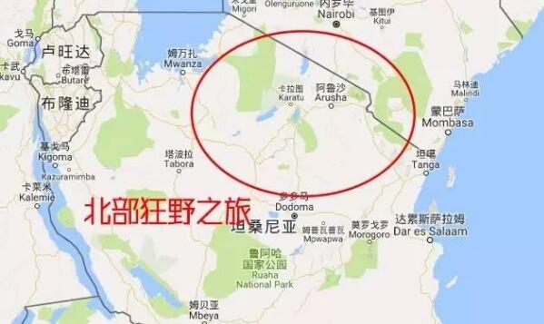 　　出门旅行，你最怕啥？  　　钱花了  　　时间没了  　　累的像条狗  　　却没玩到最好玩的景点！  　　坦桑尼亚这么大，野生动物这么多，光国家公园就有12个，到底怎么玩才不虚此行?小布特地写出这篇攻略，帮你将坦桑尼亚的主要景点一网打尽！  　　读完攻略，再也不用担心白跑一趟！  　　▼  　　    　　路线一：东部海岛之旅  　　推荐指数：★★★★★  　　静谧的海岛是坦桑尼亚最温柔的一面。坦桑尼亚的岛屿景点大都在东部，主要有两个：桑给巴尔岛、奔巴岛。  　　桑给巴尔岛是坦桑最大的岛屿。不同于马尔代夫之类纯海景游的岛屿，这里除了风光优美的海景，还有几百年殖民历史、黑奴贸易留下的各种遗迹。除此之外，众多的人口也使得这里充满烟火气，因而游客可以充分体验当地独特的人文风情。<史上最嗨桑岛旅行手册，看完就出发>  　　    　　    　　奔巴岛位于桑岛以北，是个少有人知的“秘密花园”，有时你甚至可以独享一片海滩；缺点是设施较落后，且价格不低于桑岛。原始干净，是奔巴岛最大的特点。来奔巴，最不能错过的就是米萨利岛。清澈的海水，精致的白沙，五彩的珊瑚礁，你会惊叹，这里就是天堂。  　　    　　▼  　　    　　路线二：北部狂野之旅  　　推荐指数：★★★★★  　　北部是坦桑尼亚旅游资源最为集中的地方。这里的景点，每一个说出去都是鼎鼎大名：阿鲁沙国家公园、曼雅拉湖、恩戈罗恩戈罗火山口、塞伦盖蒂草原、纳特龙湖。当然，最出名的当属乞力马扎罗山。  　　绿色之城阿鲁沙位于坦桑第二高峰梅鲁山下，坐拥周边丰富的旅游资源，是坦桑的游猎之都。离阿鲁沙城不远便是阿鲁沙国家公园。国家公园里最值得去的是梅鲁山，如果时间足够，可以花上四五天时间登顶它。阿鲁沙国家公园景色不算非常突出，但胜在近：从阿鲁沙出发，只需要一天，你就能游遍这里。  　　    　　曼雅拉湖有着为数众多的鸟类，在合适的季节里，曼雅拉湖是观火烈鸟的胜地。在湖岸边狭长的金合欢树丛里，还有机会看到会爬树的狮子，这可是曼雅拉湖最有特色的动物。至于能不能遇到，那就要看运气啦~  　　    　　    　　恩戈罗恩戈罗火山口，非洲最著名的自然奇观之一，世界上最完美的火山口之一。恩戈罗恩戈罗火山口如同一口平底锅，中间平坦，四周陡峭，动物进到这里后再难出去，便在这里繁衍生息了下去。因为生活在相对稳定的小环境里，所以这里的动物大都懒懒散散，很是悠闲。  　　    　　    　　塞伦盖蒂草原，如果用一个词来形容，那就是壮观。这里最让人感动的场景就是角马产子：每年2月，分散在塞伦盖蒂草原上的角马们会繁衍生息，每天超过8000只小角马诞生在这里。之后，小角马们将长大，并沿着祖辈的足迹，在大草原上不断迁徙。  　　    　　纳特龙湖，非洲最诡异的景点之一。在纳特龙湖中死去的动物很多都变成了干尸，而火烈鸟们却将这里当成了乐园。来到纳特龙湖的人，总会为这种死亡与诞生之间的纠缠而惊叹。<纳特龙湖：这里也许是非洲最诡异的景点。>  　　    　　乞力马扎罗山，最著名的非洲景点之一。在坦桑尼亚游乞力马扎罗山，除了远观，你还可以登顶乞力马扎罗山，验证自己的勇气。当然，身体、时间和金钱三样缺一不可，毕竟登山可不是项小工程哦~  　　登乞力马扎罗山之前，你一定要知道这7条路线有什么不同！    　　▼  　　    　　路线三：南部高地之旅  　　推荐指数：★★★★  　　绵延坦桑尼亚南部的高地是游客较少踏足的地区。这里主要的景点有米库米国家公园和鲁阿哈国家公园，还有非洲最大的野生动物保护区：赛卢斯禁猎保护区。  　　米库米国家公园是坦桑尼亚第四大的国家公园，从达累斯萨拉姆有公路直通这里，交通便利，非常适合没太多时间进行游猎的游客。在这里，全年都可以观赏野生动物。水牛、角马、长颈鹿、狮子之类的动物，进入公园不久就能看到，非常方便。  　　    　　鲁阿哈国家公园是坦桑尼亚大象数量最多的保护区，足足有12000多头，除此之外还有各类野生动物，它们共同构成了一个完整的生态系统。这里的动物因为较少有游客打扰，所以更具野性，远远的看到车来就会逃走。来这里玩，可不要打扰到它们哦~  　　    　　赛卢斯禁猎保护区是非洲最大的野生动物保护区，区内多为人烟稀少的荒野。这里有成群的大象，有非洲数量最多的狮子，还有坦桑尼亚最后幸存的黑犀牛群。流经保护区的鲁菲吉河还使得这里成了东非最大的集水区之一，水中生活着鳄鱼、河马等。多样而狂野，这就是赛卢斯！  　　    　　    　　    　　▼  　　    　　路线四：西部大湖之旅  　　推荐指数：★★★  　　沿着坦桑尼亚的西部，从北往南，境内一共有两个大湖：维多利亚湖和坦噶尼喀湖。这里的风景不算突出，但想要体验非洲的水乡风景的话，还是值得一去的。  　　维多利亚湖是非洲最大的湖，但是在坦桑尼亚这边的湖区基本上没什么游客。维多利亚湖上最值得一去的景点是鲁邦多岛国家公园。观鸟是多数游客来这里的目的，此外徒步游猎和乘船游也是不错的选择。不过这里可不能游泳，因为湖里有鳄鱼~  　　    　　坦噶尼喀湖位于坦桑尼亚与刚果的交界处，这里最值得一去的景点是贡贝溪国家公园。贡贝溪国家公园因珍妮·古道尔与黑猩猩的故事而出名，现在来这里的人也主要是看黑猩猩的。  　　坦噶尼喀湖还有另一个更大的国家公园：马哈勒山国家公园。青山、绿水、白沙滩是这里最主要的景观，另有900余只黑猩猩生活在这里，是在贡贝溪国家公园之外的另一个选择。  　　    　　文章来自：波布非洲