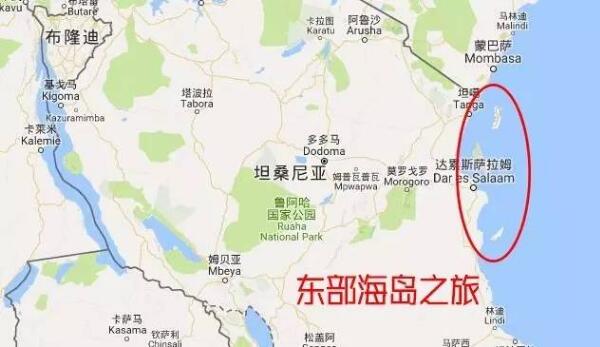　　出门旅行，你最怕啥？  　　钱花了  　　时间没了  　　累的像条狗  　　却没玩到最好玩的景点！  　　坦桑尼亚这么大，野生动物这么多，光国家公园就有12个，到底怎么玩才不虚此行?小布特地写出这篇攻略，帮你将坦桑尼亚的主要景点一网打尽！  　　读完攻略，再也不用担心白跑一趟！  　　▼  　　    　　路线一：东部海岛之旅  　　推荐指数：★★★★★  　　静谧的海岛是坦桑尼亚最温柔的一面。坦桑尼亚的岛屿景点大都在东部，主要有两个：桑给巴尔岛、奔巴岛。  　　桑给巴尔岛是坦桑最大的岛屿。不同于马尔代夫之类纯海景游的岛屿，这里除了风光优美的海景，还有几百年殖民历史、黑奴贸易留下的各种遗迹。除此之外，众多的人口也使得这里充满烟火气，因而游客可以充分体验当地独特的人文风情。<史上最嗨桑岛旅行手册，看完就出发>  　　    　　    　　奔巴岛位于桑岛以北，是个少有人知的“秘密花园”，有时你甚至可以独享一片海滩；缺点是设施较落后，且价格不低于桑岛。原始干净，是奔巴岛最大的特点。来奔巴，最不能错过的就是米萨利岛。清澈的海水，精致的白沙，五彩的珊瑚礁，你会惊叹，这里就是天堂。  　　    　　▼  　　    　　路线二：北部狂野之旅  　　推荐指数：★★★★★  　　北部是坦桑尼亚旅游资源最为集中的地方。这里的景点，每一个说出去都是鼎鼎大名：阿鲁沙国家公园、曼雅拉湖、恩戈罗恩戈罗火山口、塞伦盖蒂草原、纳特龙湖。当然，最出名的当属乞力马扎罗山。  　　绿色之城阿鲁沙位于坦桑第二高峰梅鲁山下，坐拥周边丰富的旅游资源，是坦桑的游猎之都。离阿鲁沙城不远便是阿鲁沙国家公园。国家公园里最值得去的是梅鲁山，如果时间足够，可以花上四五天时间登顶它。阿鲁沙国家公园景色不算非常突出，但胜在近：从阿鲁沙出发，只需要一天，你就能游遍这里。  　　    　　曼雅拉湖有着为数众多的鸟类，在合适的季节里，曼雅拉湖是观火烈鸟的胜地。在湖岸边狭长的金合欢树丛里，还有机会看到会爬树的狮子，这可是曼雅拉湖最有特色的动物。至于能不能遇到，那就要看运气啦~  　　    　　    　　恩戈罗恩戈罗火山口，非洲最著名的自然奇观之一，世界上最完美的火山口之一。恩戈罗恩戈罗火山口如同一口平底锅，中间平坦，四周陡峭，动物进到这里后再难出去，便在这里繁衍生息了下去。因为生活在相对稳定的小环境里，所以这里的动物大都懒懒散散，很是悠闲。  　　    　　    　　塞伦盖蒂草原，如果用一个词来形容，那就是壮观。这里最让人感动的场景就是角马产子：每年2月，分散在塞伦盖蒂草原上的角马们会繁衍生息，每天超过8000只小角马诞生在这里。之后，小角马们将长大，并沿着祖辈的足迹，在大草原上不断迁徙。  　　    　　纳特龙湖，非洲最诡异的景点之一。在纳特龙湖中死去的动物很多都变成了干尸，而火烈鸟们却将这里当成了乐园。来到纳特龙湖的人，总会为这种死亡与诞生之间的纠缠而惊叹。<纳特龙湖：这里也许是非洲最诡异的景点。>  　　    　　乞力马扎罗山，最著名的非洲景点之一。在坦桑尼亚游乞力马扎罗山，除了远观，你还可以登顶乞力马扎罗山，验证自己的勇气。当然，身体、时间和金钱三样缺一不可，毕竟登山可不是项小工程哦~  　　登乞力马扎罗山之前，你一定要知道这7条路线有什么不同！    　　▼  　　    　　路线三：南部高地之旅  　　推荐指数：★★★★  　　绵延坦桑尼亚南部的高地是游客较少踏足的地区。这里主要的景点有米库米国家公园和鲁阿哈国家公园，还有非洲最大的野生动物保护区：赛卢斯禁猎保护区。  　　米库米国家公园是坦桑尼亚第四大的国家公园，从达累斯萨拉姆有公路直通这里，交通便利，非常适合没太多时间进行游猎的游客。在这里，全年都可以观赏野生动物。水牛、角马、长颈鹿、狮子之类的动物，进入公园不久就能看到，非常方便。  　　    　　鲁阿哈国家公园是坦桑尼亚大象数量最多的保护区，足足有12000多头，除此之外还有各类野生动物，它们共同构成了一个完整的生态系统。这里的动物因为较少有游客打扰，所以更具野性，远远的看到车来就会逃走。来这里玩，可不要打扰到它们哦~  　　    　　赛卢斯禁猎保护区是非洲最大的野生动物保护区，区内多为人烟稀少的荒野。这里有成群的大象，有非洲数量最多的狮子，还有坦桑尼亚最后幸存的黑犀牛群。流经保护区的鲁菲吉河还使得这里成了东非最大的集水区之一，水中生活着鳄鱼、河马等。多样而狂野，这就是赛卢斯！  　　    　　    　　    　　▼  　　    　　路线四：西部大湖之旅  　　推荐指数：★★★  　　沿着坦桑尼亚的西部，从北往南，境内一共有两个大湖：维多利亚湖和坦噶尼喀湖。这里的风景不算突出，但想要体验非洲的水乡风景的话，还是值得一去的。  　　维多利亚湖是非洲最大的湖，但是在坦桑尼亚这边的湖区基本上没什么游客。维多利亚湖上最值得一去的景点是鲁邦多岛国家公园。观鸟是多数游客来这里的目的，此外徒步游猎和乘船游也是不错的选择。不过这里可不能游泳，因为湖里有鳄鱼~  　　    　　坦噶尼喀湖位于坦桑尼亚与刚果的交界处，这里最值得一去的景点是贡贝溪国家公园。贡贝溪国家公园因珍妮·古道尔与黑猩猩的故事而出名，现在来这里的人也主要是看黑猩猩的。  　　坦噶尼喀湖还有另一个更大的国家公园：马哈勒山国家公园。青山、绿水、白沙滩是这里最主要的景观，另有900余只黑猩猩生活在这里，是在贡贝溪国家公园之外的另一个选择。  　　    　　文章来自：波布非洲