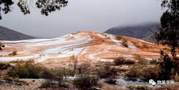 在阿尔及利亚的AinSefra,前两天竟然下起了雪,历史记录中,AinSefra上一次降雪还是在1979年2月18日,时隔已经37年,当时雪只持续了一个小时,而这次的大雪几乎落了一天。对于这样离奇的天气,当地村民表示目瞪口呆。 在这个沙漠小镇里,许多人年轻人第一次见到雪,而对于上了年纪的中老年人,这是生命中第二次关于雪的浪漫记忆。 白色的雪落在红色沙丘上,呈现出一种超现实的美。 雪花落在沙漠里,犹如巧克力上撒了一层糖霜。 AinSefra小镇海拔约1000米,被著名的阿特拉斯山脉包围。 撒哈拉沙漠覆盖了大部分北非,在过去几十万年间,它一直保持着炎热荒凉的环境气候,它的平均气温在50度以上。 这次遗憾的是,雪只停留了一天,但是对于当地人来说,这已经是老天给予的最大惊喜,能够让他们此生见到自己生活的地方降雪。 文章来自:物美非洲
