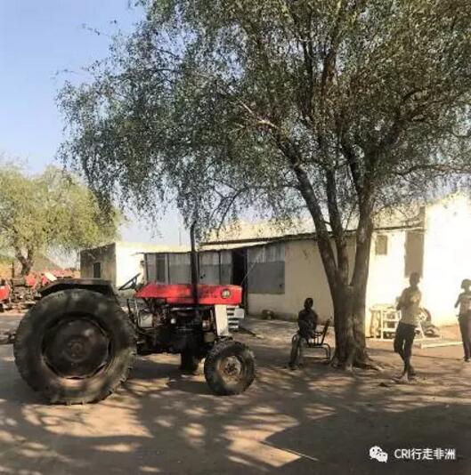 作为援外医生的我,一直迫切地想要深入非洲每一寸贫瘠落后的土地,期盼去小小村落通过义诊去读懂最原始最自然的非洲。这一次我终于如愿以偿了----春节前,我们去油区Paloch进行了义诊。真正深入到非洲农村,却赫然发现那些在南苏丹首都朱巴的贫穷、落后、脏乱、不安定……与Paloch这个地方比起来,都是"小巫见大巫"!更令我意想不到的是,当地人对中国医生充满了期待。虽然回到朱巴已有几天时间,但是,我始终忘不了一个小女孩忧虑而期待的眼神…… 1月23日,也就是离中国农历除夕仅有四天的时候,我和医疗队的同事一起踏上了前往油区Paloch的行程。 出于安全和便捷考虑,我们需要乘坐飞机前往。当天一大早,我们就来到了南苏丹首都朱巴机场。 清晨我们在朱巴机场等候去PaLoch的飞机 朱巴机场设施比较落后 南苏丹是个独立时间不长的国家,基础设施落后,安全形势紧张。老实说,乘飞机前我还是有点担心的,不过好在一切顺利,飞机很平稳地降落到了Palock机场。 到达Paloch机场 这里靠近赤道,太阳几乎每天都从同一个地方升起,强烈的紫外线是大自然的馈赠,毫不吝啬地垂直照射着这里的每一寸土地,然后太阳又在几乎同一个地方落下,日复一日,年复一年。Paloch属于热带草原气候且正值旱季,比起属于热带雨林气候的朱巴更为干燥,阳光也愈发浓郁猛烈。广袤无垠的草原在强光的照耀下一片枯黄,萧瑟而苍茫,汽车在灰黄的土路上狂奔,掀起滚滚沙尘,给每个人的脸都抹上了一层天然的古铜色的“防晒霜”。 尘土飞扬 荒草地和村庄 尖顶的圆形茅草屋和草篱笆围成的栅栏是淹没在荒草地里的村庄,尼罗河像脐带一样滋养着流域的每个村庄。 南苏丹境内的尼罗河 取水点就是村庄里最热闹的地方。大批头顶瓦罐、塑料桶的妇女儿童在取水点聚集,叮叮当当拉着水桶的驴车颠簸着将尼罗河的水运到寻常人家供吃喝洗用;路边零散有卖大蒜、洋葱和饮用水的小摊,货物单一、价格昂贵,偶尔可见可乐、啤酒等稀罕物,可乐100南苏丹磅一瓶,相当于当地医生一天的工资。战后的经济萧条已波及到南苏丹的每一个角落。 取水点热闹非凡 拉水的驴车叮叮当当 妇女们头功相当了得 Paloch油区是是南苏丹最大的油区,中石油在这里驻扎、援助建设油田,原始和现代文明在这里碰撞,为这最最贫穷、一无所有的地方带来了电力、就业机会、经济贸易和些许现代文明。那高耸的油塔,废旧集装箱改造的车库,自给自足的菜地鱼塘,搭建整齐的集装板房,让人依稀回到了七八十年代的中国农村,简单却无一不彰显中国人民的勤劳和智慧。 中石油的油田现场 Paloch友谊医院 中石油为当地人援建了象征中南友谊的"Paloch友谊医院",它是方圆几百里规模最大、设备最全的医院。然而即便这样,这家医院也只有8名医生,4名当班护士,仅有内科、外科、妇科、眼科、皮肤科,没有专治儿科的医生,门诊由内科医生统一诊治,收住院的病人男女性别分病房输液治疗,不分病种。化验检查、医疗器械和药品是少得可怜,药房里则零零散散摆放着一些抗生素、眼药膏、抗疟药…… 张翼参赞(后排左三)和医疗队员在友谊医院义诊合影 友谊医院门口围满了就诊的人 在经过简单的诊室安排和对当地人进行宣传之后,为期四天的义诊就开始了。患者大多是周围村庄闻讯慕名前来的,他们拖家带口挤满了就诊大厅,候诊椅上坐满了人,有的患者就铺块布席地而坐;有的患者则横七竖八地躺在门口树阴下等候。 友谊医院的候诊大厅围满了就诊的人群 患者多是当地村民,未接受过教育,说的是当地土语及阿拉伯语。虽然层次不高,但经过我们和当地医生简单沟通及维持秩序后,他们都能安静而有序地在诊室外等候,多而不乱。儿科诊室一直都是最杂乱的科室,干燥炎热的天气,嘈杂的小孩哭声,汗味、奶馊味混合着排泄物的气味在空气中流窜。 但艰苦恶劣的医疗环境并没有难倒我们,我们很快就适应了并投入热火朝天的诊疗之中。 我在儿科诊室给小患者听诊 候诊的当地儿童 儿科最多最常见的还是患疟疾和被感染的病人。南苏丹蚊子多,疟疾在这里就像感冒一样稀松平常,发热、寒战、头疼、肌肉酸痛……种种症状,如果不能得到及时治疗,患者就有生命危险。一般而言,做简单的抗疟检测、早期诊断、给予有效抗疟药物及早治疗,大部分患者都能治愈,并不是很可怕。在义诊现场,查疟、排疟、抗疟进行得如火如荼。 诊室门口席地而坐等候就诊的人群 内科诊室也是病人不断 这里卫生条件差,感染仍占据疾病首位,其中呼吸道感染和肠道感染多见。霍乱、黄热病、肺结核、小儿麻痹症、麻风病这些在中国国内几乎绝迹的疾病在这里却并不鲜见。一些患儿局部感染后,由于得不到规范的检查和诊治,加上路途遥远无法获得有效的抗生素,或者当地人仅用当地巫术及土方治疗,都会延误疾病的诊治,有的肺炎和腹泻由于反复加重而危及生命。我们甚至遇到一个八岁的小女孩,她因跌倒导致腿部小伤口感染,由于没有得到及时有效的治疗,最终导致整个小腿坏疽,就诊为时已晚,真是让人可怜又可惜,无助且无奈。 内科诊室被围得水泄不通 这个小姑娘的眼神令我至今难忘 疾病重在预防,很多疾病都是能通过预防避免的。口服小儿麻痹症糖丸、普及乙肝病毒疫苗及卡介苗对预防此类疾病有很好的阻断效果。我们也向当地医生和病人普及了一些预防疾病的知识,告知喝干净的水、吃干净的食物、用肥皂洗手、一旦发现传染性疾病须迅速隔离病人……实际上,只要做一点点简单的改变就能预防和阻断很多疾病的发生。 就诊的病人 1月25日中午,中国驻南苏丹大使也专程过来看望病人及我们医疗队员,并向医院捐赠了药品和医疗器械。看到医院的药品得到补给,疾病得到诊治,村民们都用当地特有的尖叫声以表谢意!看到村民们压抑很久的情绪得到释放,我们也和他们一样备受鼓舞,同时也感到自己身为医生责任重大! 卫生院所在的村庄 卫生院门口的拖拉机 卫生院门口的驴车 中国捐赠的救护车 25日下午,我和内科苏队长乘车一路颠簸去了村里一个卫生院诊治病人。这间卫生院规模很小,一间砖房被隔成三部分:中间是候诊区,两头一边是药房,一边是诊室。听说我们来,周围村庄的居民都蜂拥而至,将诊室围得水泄不通,有的求医,有的问药,有的是急症,有的是久治不愈的顽疾……我们有条不紊、逐一耐心解答,并对到场的所有患者进行了仔细诊察和治疗。当天的病人实在太多,我们只能尽最大努力,在有限的时间里能多查一个就多查一个,能多治一个就多治一个。前来接受诊疗的孩子们都缺吃少穿、营养不良,眨巴着大眼睛望着我们,让人可怜又心痛,有的孩子仅是想来讨一些药品和食品。我们给他们分发了一些糖果、钙片和维生素片。其实,他们缺少的并不仅仅是药品,还有干净的食物和饮用水。 在卫生院等候的人群 在卫生院就诊的患者 Paloch友谊医院的医生虽少但诊治范围广,学习热情高。眼科医生peter一直陪我们出诊,给我们分诊、翻译并维持秩序,一直跟我们学习儿科的查体,并坦言自己在一些药物的使用上存在困难,希望能好好学习,为患者提供更好的服务。我们的义诊也许只能暂时解决患者的部分问题,但是,如果能帮当地医生与我们长期援助的朱巴教学医院建立起良好关系,组织培训及学术交流,那就有利于提高当地的医疗水平,实现更长远的目标。 我(右二)和当地眼科医生PETER(左二)在一起 忙碌的时光总是飞逝而去,我们累并快乐着!这次义诊仅儿科就诊治了近300名病人,虽有辛酸与悲痛,但也有幸福与光亮;虽然肤色不同、语言不通,但诊治完患儿后,看到家长们满面的笑容,看到他们双手竖起的大拇指,我知道他们在感谢我们,在表达他们浓浓的谢意和敬意。 飞扬的义诊红旗 这里阳光强烈,愿它能照进南苏丹的每一个角落,愿我们能有更多义诊的机会,愿这里不再有饥饿和疾病困扰,愿每一个生病的孩子都能及早得到诊治,愿每一个孩子都能有美好的未来! 油区清晨的太阳 四天的义诊匆匆而过,但它让我接触到非洲农村那些社会底层最平凡最普通的人和事,接触到种种细枝末节的片段,也许它们并不起眼,却深深地印在了我的脑际,触动了我的心灵。我想,这些对我都是弥足珍贵的人生财富! 文章来自:CRI行走非洲