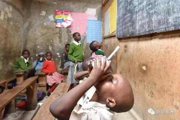 　　从3月1日起，中国的“免费午餐计划”公益项目走进非洲大陆肯尼亚，让马萨雷贫民区的长荣希望小学、汉卡小学、长青造梦小学、胜利小学、书卷视野小学的共1103名贫民区儿童吃上了免费的早餐和午餐。  　　    　　3月6日，在肯尼亚首都内罗毕的马萨雷贫民区，一名长荣希望小学的学生从杯子的漏孔处喝玉米粥。  　　在肯尼亚，生活在贫民区的许多人每天仅有1美元收入，一天只能吃上一顿饭，一名小学生在学校食用早餐和午餐，每月需缴纳300先令左右(约20元人民币)。  　　    　　3月6日，在肯尼亚首都内罗毕马萨雷贫民区内的长荣希望小学，负责“免费午餐计划”执行的造梦公益组织志愿者贺若昕(左)、造梦公益成员刘宜孟翰(右)和长荣希望小学教师一同向学生家长介绍“免费午餐计划”。  　　“免费午餐计划”邀请在肯尼亚开展社区公益活动的造梦公益组织负责人阴斌斌作为执行长，由造梦公益团队在肯尼亚首都内罗毕的马萨雷贫民窟执行“免费午餐计划”。项目启动资金由明珠救援提供，后续资金后续将由免费午餐基金负责筹备。  　　    　　3月6日，在肯尼亚首都内罗毕马萨雷贫民区内的汉卡小学，负责“免费午餐计划”执行的造梦公益组织志愿者钱峰和小学生们分享午餐。  　　“免费午餐计划”是由中国500多名记者和数十家媒体倡议，联合中国社会福利基金会发起的项目，旨在借助社会公益力量，让贫困地区的孩子“吃好饭”。  　　    　　3月6日，在肯尼亚首都内罗毕马萨雷贫民区内的长荣希望小学，厨师给孩子们分发早餐——玉米粥。  　　    　　3月6日，在肯尼亚首都内罗毕的马萨雷贫民区，一名长荣希望小学的学生从杯子的漏孔处喝玉米粥。  　　    　　3月6日，在肯尼亚首都内罗毕马萨雷贫民区内的长荣希望小学，两个女孩早餐后清洗餐具。  　　    　　3月6日，在肯尼亚首都内罗毕马萨雷贫民区内的长荣希望小学，一名学生家长带着孩子参加介绍“免费午餐计划”的家长会。  　　    　　3月6日，在肯尼亚首都内罗毕马萨雷贫民区内的长荣希望小学，一个小学生食用早餐。  　　    　　3月6日，在肯尼亚首都内罗毕马萨雷贫民区内的汉卡小学，一名女厨师为学生们准备午餐。  　　    　　这是3月6日在肯尼亚首都内罗毕马萨雷贫民区内的汉卡小学拍摄的当日午餐——红豆饭。  　　    　　3月6日，在肯尼亚首都内罗毕马萨雷贫民区内的汉卡小学，高年级学生就餐前负责将盛好的午餐传递进教室，由低年级学生先就餐。  　　    　　3月6日，在肯尼亚首都内罗毕马萨雷贫民区内的汉卡小学，学生们享用午餐。  　　文章来自：新华非洲