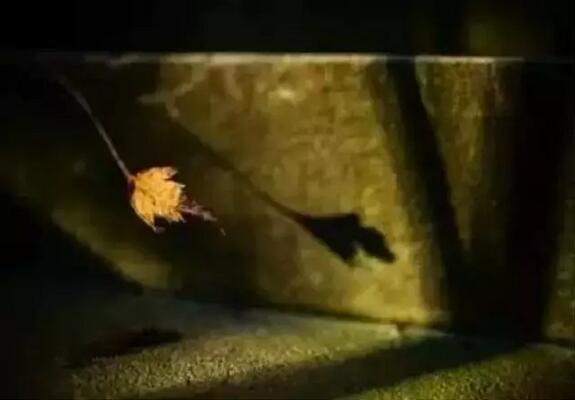 　　善良的人总是快乐，感恩的人总是知足;俗语说：滴水之恩，当涌泉相报。感恩是一种生活态度，是一种善于发现生活中的感动并能享受这一感动的思想境界。感恩父母，感恩家人，感恩朋友，感恩生活……包括感恩逆境和敌人。  　　    　　感恩是一种处世哲学，是生活中的大智慧。人生在世，不可能一帆风顺，种种失败、无奈都需要我们勇敢地面对、旷达地处理。当挫折、失败来临时，是一味地埋怨生活，从此变得消沉、萎靡不振，还是对生活满怀感恩，跌倒了再爬起来?英国作家萨克雷说：“生活就是一面镜子，你笑，它也笑;你哭，它也哭。”  　　    　　如果我们时时能用感恩的心来看这个世间，则会觉得这个世间很可爱、很富有!树上小鸟的轻唱，太阳无私的光明与热能，路旁花朵的芬芳，都会令你感到心旷神怡。  　　    　　“我的手还能活动;我的大脑还能思维;我有终生追求的理想;我有爱我和我爱着的亲人与朋友;对了，我还有一颗感恩的心……”谁能想到这段豁达而美妙的文字，竟出自一位在轮椅上生活了三十余年的高位瘫痪的残疾人——世界科学巨匠霍金。命运之神对霍金，在常人看来是苛刻得不能再苛刻了。可他仍感到自己很富有：一根能活动的手指，一个能思维的大脑……这些都让他感到满足，并对生活充满了感恩之心。因而，他的人生是充实而快乐的。  　　    　　对生活、对世界、对身边熟悉和陌生的人、对我们的朋友和对手，真的要感谢他们给了我们这样一份精彩的生活。  　　真诚地感恩逆境，它是一次人生的淬火，让我们得到锤炼;它是一个课堂，让我们学会了刻苦、忍耐、淡泊和宽容;它是一块“试金石”，使我们体味真正的友谊，真正的朋友，体味一个冷暖人生;它是一笔财富，经历了它，会让我们精神富有，终生享用。逆境砺炼心志，教会我们体味真诚，体味人生，让我们心存感恩，在人生的道路上风雨兼程。  　　    　　其实，幸福的感觉不是由处境和外在的条件决定的，关键在于我们有没有感恩的心。想想我们得到过的爱，哪怕它并不多;想想亲人、朋友，甚至是不相干的人为我们做过的事，哪怕它只是举手之劳;想想早晨扑面而来的清新的空气，想想拂过我们额前发丝的调皮的风儿……  　　我们，有什么理由不感谢生活?让我们拥有一颗感恩的心吧，有了它，你会平和面对动荡不安，积极应付挫折困难，于寒冬里感受到暖意，在风雨中体会到幸福。  　　    　　一个不懂得感恩的人，即使家财万贯，他仍是个贫穷的人;懂得感恩并知恩报恩，才是天下最富有和最快乐的人。  　　文章来自：人民日报