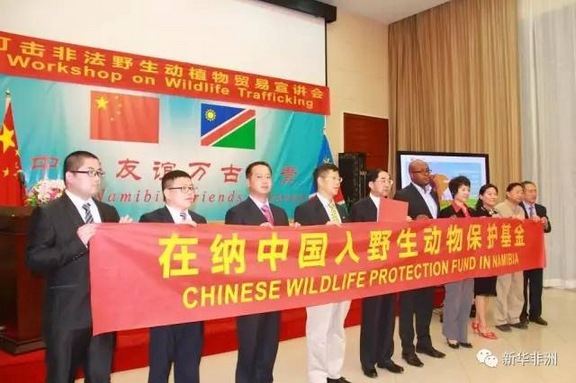 　　6月9日，国家林业局联合中国驻纳米比亚大使馆、世界自然基金会、国际野生物贸易研究组织以及纳米比亚环境与旅游部在纳米比亚首都温得和克共同组织了一场打击非法野生动植物贸易宣讲会。在会上，我驻纳使馆临时代办李南宣布，纳米比亚中资企业与华人华侨共同发起的首家在纳中国人野生动物保护基金正式成立。  　　   6月9日，纳米比亚首都温得和克，在纳中国人野生动物保护基金正式成立。  　　国家林业局副局长张永利表示，中国政府对野生动植物非法贸易高度重视，及时对《野生动物保护法》进行了修改;建立了打击野生动植物非法贸易部际联席会议制度和部门间执法工作协调机制，严格销售市场监管，不断加大出入境查验力度，严厉打击违法犯罪;积极探索长效机制，特别是派员来到非洲国家，帮助做好当地华人的提醒教育工作，为从根本上消除濒危物种非法贸易做出了积极努力。  　　纳米比亚环境与旅游部副部长汤米·纳巴胡表示，打击非法野生动植物贸易需要政府和社区的共同努力，纳米比亚为此专门修订了野生动物保护法。他感谢中国政府在打击非法野生动植物贸易方面所作出的努力，认为这给未来两国合作奠定了良好的基础。  　　    　　6月9日，参加打击非法野生动植物贸易宣讲会的嘉宾签到。  　　来自国家林业局和世界自然基金会、国际野生物贸易研究组织的官员与专家作了《中国履行国际公约及介绍国内相关法律要求》、《对驻非企业和华人遵守濒危物种国际贸易公约(CITES)的建议》、《中国企业负责任投资和保护资源》等讲座，中资企业、华人华侨代表、纳米比亚野生动物保护人士等近百人参加了宣讲会。  　　由纳米比亚中资企业商会、华商会、和统会、华人爱心组织等侨团联合发起的野生动物保护基金首批募集资金11万纳元(约合5.5万元人民币)，将用于纳米比亚野生动物保护事业。  　　文章来自：新华非洲
