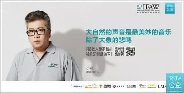　　在很多人看来，非洲几乎与动物划上了等号，去非洲就是去看动物。非洲的动物是这样的：  　　    　　这样的：  　　    　　或者是这样的：  　　    　　非洲的动物似乎总是成群结队，浩浩荡荡，游人可以像个骄傲的将军一样坐在游猎车里，指着东非大草原说：  　　“给我来一打长颈鹿!”  　　“要一个团的羚羊!”  　　“嗯，安排三个师的角马!”  　　……  　　然而，小布要忧伤地告诉大家，非洲虽是野生动物的乐土，但由于自然条件的恶化和人类的捕猎，很多动物正在逐年锐减，有的甚至濒临灭绝。想想毛里求斯的渡渡鸟吧!作为毛求的国鸟，它如今只存在于人们的想象里、绘画中，以及那块国徽上。  　　    　　如果有人去非洲看到下面的五种濒危动物，你一定是捡到宝了，回国后一定要请小布吃冰淇淋 ^_^  　　黑犀牛  　　黑犀素有脾气不好的恶名， 有时会攻击车辆、人和营地。 黑犀牛的皮肤很坚硬，但其褶缝里的皮肤十分娇嫩，总有寄生虫生在其中。犀牛鸟是犀牛天生的搭档，它们通常停在犀牛的身上到处找寄生虫吃。作为回报，当有大型猛兽出现时，犀牛鸟会发出一种很小的警告声音，犀牛便会警惕起来并及早做好反击或逃跑的准备。小布要说，他俩真是天生的好基友好搭档!  　　    　　白犀牛  　　白犀牛和黑犀牛可不是颜色的区别，因为他们都是灰黑色的。之所以这么叫，是源于从荷兰语到英语的翻译错误。在荷兰语里，白犀牛叫“weit”，意思是“宽”(主要是指它的宽唇)，但英语把它翻译成了“白色”。这样，另一个就成了黑犀牛了——真是躺着也中枪啊!  　　听了小布的科普，聪明的你应该知道黑白犀牛的真正区别了：黑犀牛嘴巴的前端是一个尖勾状，更适合吃树叶;白犀牛的嘴前端则是宽的，更适合吃草。  　　    　　在东非游猎，看到狮子、豹子不难，要碰到黑白犀牛，那真跟中了彩票一样。不过，在坦桑尼亚的恩戈罗恩戈罗火山口，你有更大的几率找到它们。如果你去了肯尼亚的甜水私人保护区，那就百分百能看到了，甚至可以近距离接触。知道为什么吗?嘿嘿，那可是东非最大的黑犀牛禁猎区啊。  　　细纹斑马  　　斑马是东非大草原上最常见的动物，但是它们都是粗条纹的平原斑马，细纹斑马可不容易见到。如果你非要看细纹斑马，或许还得去一趟肯尼亚的桑布鲁。  　　与普通斑马相比，细纹斑马个高耳大，那细细的条纹总是透着几分性感，让人遐想无数。但是，由于受到偷猎、疾病以及水源和牧草资源不足等因素的影响，这一俊美的斑马族群正在急剧下降。如果不采取措施，这一濒危动物将走向灭绝。  　　    　　山地大猩猩  　　据世界自然基金会统计，目前世界上仅存880只山地大猩猩，它们生活在卢旺达、刚果(金)和乌干达三国交界处的维龙加山脉及乌干达布温迪国家公园。主要在海拔2500至4000米的山地森林和竹林生活，它们在白天活动，由于需要大量食物，所以大部分时间都在进食。  　　    　　电影《金刚》里的主角大猩猩凶残成性，皮粗肉厚，刀枪不入，生人不敢接近。不过现实中，大猩猩却是非常平和的素食者，被称作“温柔的巨人”。  　　    　　然而，这些大猩猩却因人类的猎杀和环境因素而濒临灭绝，数量一直在暴跌。  　　就在前不久，为加强保护极度濒危的山地大猩猩，在卢旺达追踪山地大猩猩的许可证费用上涨至每人1500美元。小布一边打心底里支持这种行为，一边摸着扁扁的腰包感慨：看动物真的要趁早啊!  　　非洲象  　　非洲象是陆地上最大的哺乳动物，狮子也要敬它三分——听说19世纪末，比利时的利奥波德二世在刚果训练的大象会主动追逐狮子。大象是群居动物，小布曾经在塔兰吉雷国家公园看到过最多的象群，大象母子一起散步的场面真是无比温馨哪!  　　    　　谁说大象不会跳舞，小布就看过跳舞的大象。  　　    　　可悲的是，几个世纪以来，为了满足对象牙的需求，大象的生存环境正在面临威胁。非洲大象正面临前所未有的危机，每15分钟就有一头大象因象牙而遭到猎杀。  　　    　　非洲的濒危野生动物还有不少，不忍再列下去了。小布只想说，这些濒危动物之于非洲，就像大熊猫之于中国一样。可喜的是，经过数十年的努力，大熊猫已不再是濒危物种。由于中国大熊猫数量反弹，就在去年，大熊猫的官方地位已经从“濒危”变为“易危”。小布的心里突然涌起了一个马丁路德金那样伟大的梦想——真希望非洲的濒危动物和中国的大熊猫都能子孙满堂啊!  　　    　　小布最近在地铁里看到很多IFAW(国际爱护动物基金会)的公益广告，主题是“拯救大象罗拉——对象牙制品说不”。有袁熙坤、王石、王珞丹、李宇春、小柯等为其代言。小布对小柯那张海报印象特别深刻(毕竟都姓“小”咯)——“大自然的声音是最美妙的音乐，除了大象的悲鸣”。  　　    　　虽然人微言轻，小布相信平凡人的努力亦可成就非凡，我们一起承诺：  　　我不会通过杀戮、购买、收藏、送礼、贩运的方式纵容或允许非法野生动植物贸易蔓延。  　　希望非洲的草原上永远奔跑着狮子羚羊、角马斑马;  　　希望丛林中不经意间会走出一只长颈鹿;  　　希望看到大象母子相依走过一棵金合欢树，金合欢树后面有一轮火红的夕阳。  　　……  　　希望未来这样的场面不仅仅存在于我们的讲述中，而是真实地发生在眼前。  　　    　　文章来自：波布非洲