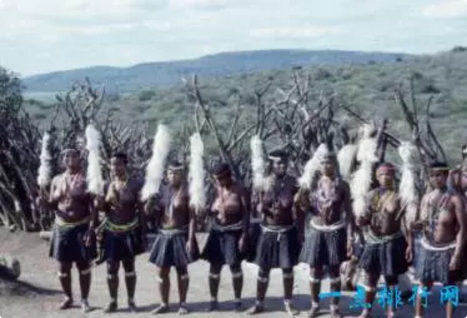 　　众所周知，非洲有很多的部落，当然也有他们的文化，那些是他们的文明，有些还有传统文化，看看十大非洲部落，他们都是最有文化的。  　　10.查加族  　　    　　查加族位于坦桑尼亚，生活在乞力马扎罗山和默鲁山，有着丰富多彩的传统活动，他们早期信奉基督教，是十大非洲部落之一。  　　9.斯瓦蒂族  　　斯瓦蒂族是南非最受欢迎的部落之一，有着丰富的文化，多彩的传统服饰展现出来，他们也相信巫术、传统治疗，而且由母性领导的部落，是十大非洲部落之一。  　　8.奥罗莫族  　　奥罗莫部落来自埃塞俄比亚，这里有不同的宗教节日，大多数都是基督教徒。奥罗莫族占了埃塞俄比亚人口的35%，它们也庆祝圣诞节，是十大非洲部落之一。  　　7.文达族  　　    　　文达族的文化是在非洲中部，文达族人不吃猪肉，这里的水被当作神圣之物，他们会建造古老而神圣的神庙，是十大非洲部落之一。  　　6.辛巴部落  　　辛巴部落来自于纳米比亚北部，他们的文化是用红粘土和黄油来画他们的身体，火也被他们认为是神圣的，是十大非洲部落之一。  　　5.Pedi族  　　最有艺术特质，从他们粉刷自己房子，Pedi族位于在南非和莱索托等地，而且大多数文化也是很特殊，是十大非洲部落之一。  　　4.Mbororo  　　    　　Mbororo部落来自乍得，而且这个部落有丰富的文化节日，色彩缤纷，是非洲最受欢迎的节日之一，是十大非洲部落之一。  　　3.圣布须曼人  　　    　　圣布须曼人生活在南非博茨瓦纳，这些部落成员戴着腰布，制作动物陷阱捕捉猎物，而且有着丰富的文化，是十大非洲部落之一。  　　2.Maasi  　　    　　马西斯在肯尼亚，有着丰富的文化，不过它们很可怕，是肉食者，喝生的动物血，是十大非洲部落之一。  　　1.祖鲁族  　　    　　南非的祖鲁族是非洲的一个民族，起源于刚果，由于很少与我们接触，他们的文化只是内部交流，是非洲最大的的部落，人口为1100万人，是十大非洲部落之一。  　　文章来自：一点排行网