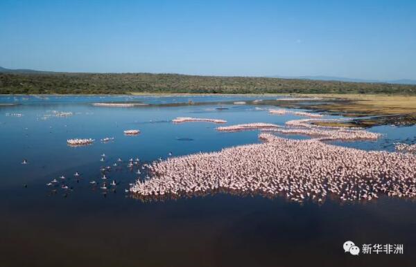 　　科技的进步给越来越多的摄影师装上了“天空之眼”，他们借此定格自然的美丽与人类的文明，给观者呈现“上帝视角”下的世界。2017，我们俯瞰山川湖海、城市内外;2018，我们更加期待。  　　    　　12月6日拍摄的马尔代夫瓦宾法鲁岛和附近的珊瑚礁。新华社记者 宋为伟摄  　　    　　5月3日拍摄的希腊比雷埃夫斯港的渡轮码头。新华社发(帕诺斯·托马达基斯摄)  　　    　　8月18日拍摄的俄罗斯首都莫斯科国际商务中心楼群。位于莫斯科市中心的莫斯科国际商务中心占地60万平方米，目前仍在建设中。 新华社记者白雪骐摄  　　    　　8月18日拍摄的希腊北部城市卡斯托里亚。卡斯托里亚位于雅典西北约350公里的卡斯托里亚湖西岸，该城市历史悠久，拥有众多历史悠久的教堂和建筑。 新华社记者 刘咏秋摄  　　   10月8日拍摄的肯尼亚博戈里亚湖上的火烈鸟群。博戈里亚湖位于肯尼亚东非大裂谷地区中部，距首都内罗毕约300公里，大批火烈鸟在此栖息。 新华社记者 吕帅摄  　　    　　5月6日拍摄的南非德班港一景。德班位于南非东部的夸祖鲁-纳塔尔省，濒临印度洋，是南非最大的港口城市。因其美丽的海景和温暖的气候，德班也是世界著名的旅游城市。 新华社记者 翟健岚摄  　　   3月20日拍摄的美国佛罗里达州棕榈滩的海岸线。 新华社记者 殷博古摄  　　   列车从肯尼亚蒙内铁路沿线的马泽拉斯铁路大桥上驶过(5月12日摄)。蒙内铁路连接肯尼亚首都内罗毕和东非第一大港蒙巴萨，全长约480公里，是一条采用中国标准、中国技术、中国装备建造的现代化铁路。蒙内铁路是肯尼亚半个世纪以来最大的基建工程，已于今年6月开始试运营。 新华社记者 陈诚摄  　　    　　3月22日拍摄的美国佛罗里达州棕榈滩。 新华社记者 王迎摄  　　    　　8月17日拍摄的俄罗斯西部弗拉基米尔州的苏兹达尔克里姆林宫。新华社记者 白雪骐摄  　　    　　1月23日拍摄的南非约翰内斯堡桑顿地区的城市绿化树木。约翰内斯堡位于南非东北部瓦尔河上游高地，人口约400万，是南非最大城市和非洲地区重要的经济中心。约翰内斯堡整座城市被绿地、树林和公园环绕。 新华社记者 翟健岚摄  　　   两名游客在南非德班的沙滩上行走(5月3日摄)。德班位于南非东部的夸祖鲁-纳塔尔省，濒临印度洋，是南非最大的港口城市。因其美丽的海景和温暖的气候，德班也是世界著名的旅游城市。 新华社记者 翟健岚摄  　　文章来自：新华非洲
