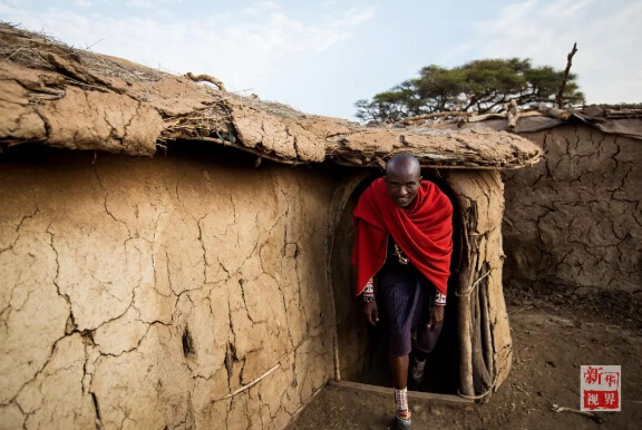 　　设想一下，如果你一觉醒来变成东非马赛人，一切会有什么不一样?  　　就让非洲的小伙伴带你走进他们的生活吧!  　　    　　在肯尼亚安博塞利国家公园内的一处马赛人村落，一位成年马赛族人坐在屋内的床上。  　　一睁眼，你就会发现自己躺在一整张牛皮“床单”上，没有灯，昏暗的房间里只有墙上的小孔投进来的一束晨光。顺便说一句，这里是东非大草原，造房子没有钢筋混凝土，用的是牛粪、草木灰、树枝和泥土。随着与现代社会的接触，马赛人也渐渐学会了使用塑料布甚至太阳能照明灯!  　　    　　马赛人的房屋主要由草木灰、树枝、牛粪、泥土堆成，现在马赛人也逐渐开始使用塑料袋和简易太阳能灯。  　　来村口儿的大树下刷个牙吧。牙刷就更有趣了，先要把树枝嚼碎，再用里面的纤维来清洁牙齿，这可能就是非洲兄弟们牙齿都那么白的秘诀。  　　    　　这里位于肯尼亚安博塞利国家公园内，是一个由枯树枝围起的约半个足球场大的圆形马赛人聚落。这个马赛村庄由40余座一人高的房子构成，每一间民居里通常有两个隔间，其中一个隔间兼做厨房。聚落的中央是一个广场，四周有若干个由树枝堆起的小围场。  　　    　　肯尼亚安博塞利国家公园内的一处马赛人村落。  　　马赛族的男人们裹着被称为“束卡”的红色披风，有的手持一头细一头粗、用来赶走野生动物的马赛木棍，有的手持打猎用的长矛;女人们穿着色彩绚丽的“坎噶”裙装，戴着精细彩珠串成的头饰和项圈。酋长恩考说，村里的男人白天出去放牧，女人则在家里做彩珠饰品。他们多数人家里没有电视，也没有电灯，唯一的娱乐便是围着广场跳舞。  　　    　　生活在这个村子里的有5个大的家族，人口超过170人。大家主要以放羊为生。不过，对这个村子而言，最重要的并不是山羊，而是牛群。马赛男人的披风之所以选择红色，就是为了赶走狮子等野生动物，保护他们赖以生存的牛群。  　　    　　马赛人村落的酋长恩考(Nkao)。  　　牛群在马赛人的传统生活中扮演着重要角色。恩考很自豪地说，马赛人视牛为宝，为了防止公园里的动物偷吃，山羊和牛群被放在整个聚落中央的位置。  　　    　　    　　马赛人萨吉姆巴(Sakimba)在肯尼亚安博塞利国家公园附近放牛。  　　晚饭时间，村里有人钻木取火、准备晚饭。恩考说，村民一般一天只吃早晚两顿饭，通常是羊奶。遇上婚礼或丧葬等事宜，他们也会宰上几只山羊。  　　    　　    　　马赛人在晚饭前钻木取火。  　　    　　马赛族妇女在挤羊奶。  　　今年40岁的恩考，读到小学毕业就回到村里放羊了。“我没有去过城市里，因为村里有很多事情要做。”他说，“这里有草地，有动物，我喜欢与动物一起生活。”马赛人曾流传着一个古老说法：“我们右手持长矛，左手持圆棍，就不能再拿书本了。”不过，作为5个孩子的父亲，恩考希望他的子女们可以好好读书，在城里找个稳定的工作，有个“好未来”。  　　    　　马赛人在跳舞。  　　作为肯尼亚最具代表性的部族之一，马赛人一直延续着游牧传统。数百年来，他们在非洲辽阔的大地上逐水草而牧，靠围猎而生，过着游牧民族的本色生活。随着时代变迁，马赛族勇士已逐渐放弃猎杀狮子的传统，更多的小朋友接受现代教育，旅游业也给他们带来越来越多的收入。  　　    　　    　　一位马赛族妇女在制作装饰有马赛珠的皮带。  　　非洲蕴藏着独特的智慧，这个东非最活跃的民族今后将会如何，若干年后，待你的再次穿越来发现!  　　文章来自：新华视界