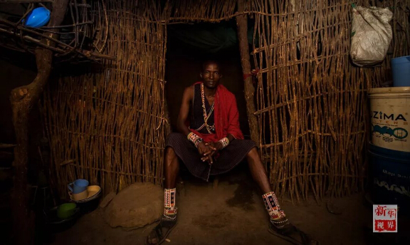 　　设想一下，如果你一觉醒来变成东非马赛人，一切会有什么不一样?  　　就让非洲的小伙伴带你走进他们的生活吧!  　　    　　在肯尼亚安博塞利国家公园内的一处马赛人村落，一位成年马赛族人坐在屋内的床上。  　　一睁眼，你就会发现自己躺在一整张牛皮“床单”上，没有灯，昏暗的房间里只有墙上的小孔投进来的一束晨光。顺便说一句，这里是东非大草原，造房子没有钢筋混凝土，用的是牛粪、草木灰、树枝和泥土。随着与现代社会的接触，马赛人也渐渐学会了使用塑料布甚至太阳能照明灯!  　　    　　马赛人的房屋主要由草木灰、树枝、牛粪、泥土堆成，现在马赛人也逐渐开始使用塑料袋和简易太阳能灯。  　　来村口儿的大树下刷个牙吧。牙刷就更有趣了，先要把树枝嚼碎，再用里面的纤维来清洁牙齿，这可能就是非洲兄弟们牙齿都那么白的秘诀。  　　    　　这里位于肯尼亚安博塞利国家公园内，是一个由枯树枝围起的约半个足球场大的圆形马赛人聚落。这个马赛村庄由40余座一人高的房子构成，每一间民居里通常有两个隔间，其中一个隔间兼做厨房。聚落的中央是一个广场，四周有若干个由树枝堆起的小围场。  　　    　　肯尼亚安博塞利国家公园内的一处马赛人村落。  　　马赛族的男人们裹着被称为“束卡”的红色披风，有的手持一头细一头粗、用来赶走野生动物的马赛木棍，有的手持打猎用的长矛;女人们穿着色彩绚丽的“坎噶”裙装，戴着精细彩珠串成的头饰和项圈。酋长恩考说，村里的男人白天出去放牧，女人则在家里做彩珠饰品。他们多数人家里没有电视，也没有电灯，唯一的娱乐便是围着广场跳舞。  　　    　　生活在这个村子里的有5个大的家族，人口超过170人。大家主要以放羊为生。不过，对这个村子而言，最重要的并不是山羊，而是牛群。马赛男人的披风之所以选择红色，就是为了赶走狮子等野生动物，保护他们赖以生存的牛群。  　　    　　马赛人村落的酋长恩考(Nkao)。  　　牛群在马赛人的传统生活中扮演着重要角色。恩考很自豪地说，马赛人视牛为宝，为了防止公园里的动物偷吃，山羊和牛群被放在整个聚落中央的位置。  　　    　　    　　马赛人萨吉姆巴(Sakimba)在肯尼亚安博塞利国家公园附近放牛。  　　晚饭时间，村里有人钻木取火、准备晚饭。恩考说，村民一般一天只吃早晚两顿饭，通常是羊奶。遇上婚礼或丧葬等事宜，他们也会宰上几只山羊。  　　    　　    　　马赛人在晚饭前钻木取火。  　　    　　马赛族妇女在挤羊奶。  　　今年40岁的恩考，读到小学毕业就回到村里放羊了。“我没有去过城市里，因为村里有很多事情要做。”他说，“这里有草地，有动物，我喜欢与动物一起生活。”马赛人曾流传着一个古老说法：“我们右手持长矛，左手持圆棍，就不能再拿书本了。”不过，作为5个孩子的父亲，恩考希望他的子女们可以好好读书，在城里找个稳定的工作，有个“好未来”。  　　    　　马赛人在跳舞。  　　作为肯尼亚最具代表性的部族之一，马赛人一直延续着游牧传统。数百年来，他们在非洲辽阔的大地上逐水草而牧，靠围猎而生，过着游牧民族的本色生活。随着时代变迁，马赛族勇士已逐渐放弃猎杀狮子的传统，更多的小朋友接受现代教育，旅游业也给他们带来越来越多的收入。  　　    　　    　　一位马赛族妇女在制作装饰有马赛珠的皮带。  　　非洲蕴藏着独特的智慧，这个东非最活跃的民族今后将会如何，若干年后，待你的再次穿越来发现!  　　文章来自：新华视界