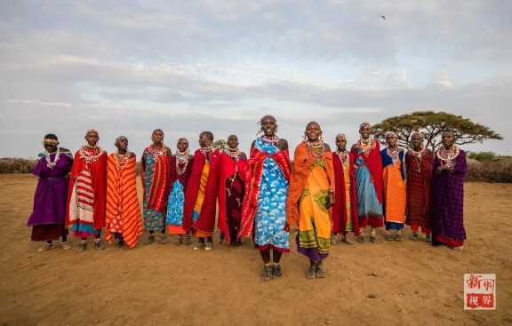 　　设想一下，如果你一觉醒来变成东非马赛人，一切会有什么不一样?  　　就让非洲的小伙伴带你走进他们的生活吧!  　　    　　在肯尼亚安博塞利国家公园内的一处马赛人村落，一位成年马赛族人坐在屋内的床上。  　　一睁眼，你就会发现自己躺在一整张牛皮“床单”上，没有灯，昏暗的房间里只有墙上的小孔投进来的一束晨光。顺便说一句，这里是东非大草原，造房子没有钢筋混凝土，用的是牛粪、草木灰、树枝和泥土。随着与现代社会的接触，马赛人也渐渐学会了使用塑料布甚至太阳能照明灯!  　　    　　马赛人的房屋主要由草木灰、树枝、牛粪、泥土堆成，现在马赛人也逐渐开始使用塑料袋和简易太阳能灯。  　　来村口儿的大树下刷个牙吧。牙刷就更有趣了，先要把树枝嚼碎，再用里面的纤维来清洁牙齿，这可能就是非洲兄弟们牙齿都那么白的秘诀。  　　    　　这里位于肯尼亚安博塞利国家公园内，是一个由枯树枝围起的约半个足球场大的圆形马赛人聚落。这个马赛村庄由40余座一人高的房子构成，每一间民居里通常有两个隔间，其中一个隔间兼做厨房。聚落的中央是一个广场，四周有若干个由树枝堆起的小围场。  　　    　　肯尼亚安博塞利国家公园内的一处马赛人村落。  　　马赛族的男人们裹着被称为“束卡”的红色披风，有的手持一头细一头粗、用来赶走野生动物的马赛木棍，有的手持打猎用的长矛;女人们穿着色彩绚丽的“坎噶”裙装，戴着精细彩珠串成的头饰和项圈。酋长恩考说，村里的男人白天出去放牧，女人则在家里做彩珠饰品。他们多数人家里没有电视，也没有电灯，唯一的娱乐便是围着广场跳舞。  　　    　　生活在这个村子里的有5个大的家族，人口超过170人。大家主要以放羊为生。不过，对这个村子而言，最重要的并不是山羊，而是牛群。马赛男人的披风之所以选择红色，就是为了赶走狮子等野生动物，保护他们赖以生存的牛群。  　　    　　马赛人村落的酋长恩考(Nkao)。  　　牛群在马赛人的传统生活中扮演着重要角色。恩考很自豪地说，马赛人视牛为宝，为了防止公园里的动物偷吃，山羊和牛群被放在整个聚落中央的位置。  　　    　　    　　马赛人萨吉姆巴(Sakimba)在肯尼亚安博塞利国家公园附近放牛。  　　晚饭时间，村里有人钻木取火、准备晚饭。恩考说，村民一般一天只吃早晚两顿饭，通常是羊奶。遇上婚礼或丧葬等事宜，他们也会宰上几只山羊。  　　    　　    　　马赛人在晚饭前钻木取火。  　　    　　马赛族妇女在挤羊奶。  　　今年40岁的恩考，读到小学毕业就回到村里放羊了。“我没有去过城市里，因为村里有很多事情要做。”他说，“这里有草地，有动物，我喜欢与动物一起生活。”马赛人曾流传着一个古老说法：“我们右手持长矛，左手持圆棍，就不能再拿书本了。”不过，作为5个孩子的父亲，恩考希望他的子女们可以好好读书，在城里找个稳定的工作，有个“好未来”。  　　    　　马赛人在跳舞。  　　作为肯尼亚最具代表性的部族之一，马赛人一直延续着游牧传统。数百年来，他们在非洲辽阔的大地上逐水草而牧，靠围猎而生，过着游牧民族的本色生活。随着时代变迁，马赛族勇士已逐渐放弃猎杀狮子的传统，更多的小朋友接受现代教育，旅游业也给他们带来越来越多的收入。  　　    　　    　　一位马赛族妇女在制作装饰有马赛珠的皮带。  　　非洲蕴藏着独特的智慧，这个东非最活跃的民族今后将会如何，若干年后，待你的再次穿越来发现!  　　文章来自：新华视界