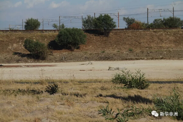 　　这将是一个令人匪夷所思的场景：成千上万的人在配水站前排着长队，或提着水桶，或端着瓢盆，急不可耐地从一辆辆运水车中接过缓慢流出的“救命水”······  　　这不是好莱坞电影中的场景，而是可能即将在南非“母亲城”开普敦上演的现实版“灾难大片”。  　　“归零日”的警钟已经敲响  　　一向风调雨顺的开普敦近来流年不利。从2015年至今，一场百年不遇的大旱持续肆虐，水库逐渐干涸，城市供水告急。截至1月22日，水库蓄水量只有27.2%(当蓄水量降至13%时，水库水则无法抽取)。目前开普敦进入旱季，在未来的5个月里，几乎无雨可下，旱情无疑将加剧。《纽约时报》就此断言，开普敦将很快成为全球第一个断水的大都市。  　　    　　开普敦一条干涸的河道。  　　开普敦市政府22日宣布，经过估算，到今年4月12日，开普敦将无法再从水库取水，届时水厂将掐断水龙头供水，市民将到指定的200多个配水站排队取水，就像文中开头描述的一样。当地人把这一天称为“归零日”(Day Zero)。  　　西开普省省长齐勒已致信总统祖马，要求将开普敦水危机宣布为“国家灾难”。  　　    　　电梯旁的节水广告，要求每人每天用水量不超过50立升。  　　开普敦市采取了更严格的节水措施：从2月1日起，每人每天的用水量将从原来规定的87立升降至50立升，150天后再根据情况调整。同时，开普敦将对每月用水量超过6000立升的家庭加以重罚。其他限水措施还包括：农业和商业用水必须分别减少60%和45%、禁止个人凿洞取水、要求人们洗澡的时间由原来的两分钟降至90秒、冲厕所的次数由原来的每天3次减至1次、不许用龙头水洗车、所有公用游泳池全部停用、公共男厕所内小便池的冲洗龙头被撤除，等等。  　　缺水将使开普敦的美丽“归零”  　　开普敦是南非的“母亲城”。300多年前，西方殖民者踏上开普敦，然后从这里向内陆扩张，最终成立国家。经过几百年的经营，开普敦成为了誉满全球的国际大都市，仿佛一颗璀璨的明珠镶嵌在非洲大陆最南端。目前，这里的常驻人口约600万，每年接待的国内外游客达500多万。  　　作为南非第二大城市、立法首都、议会所在地，开普敦曾被认为是全球最宜居的城市之一。这里有景色秀美的海滨沙滩、郁郁葱葱的植被、四季宜人的气候、如诗如画的田园风光······2014年，《纽约时报》和英国的《每日电讯报》同时将开普敦评为全球最美丽的城市。  　　然而再美丽的城市一旦没水，一切都将归零。  　　    　　为了节水，供人们洗车的水龙头已经被卸掉开关。  　　当“归零日”到来，开普敦人的用水量将降至最低限度，除了维持生存的饮用水尚能提供外，其他用水则无法保证，如洗澡、洗衣和冲厕所等，更不用说农业灌溉和工业用水。届时，不仅老百姓生活将受严重影响，整个经济，特别起着支柱性作用的旅游业将遭受劫难。  　　谁该为水危机“埋单”?  　　毫无疑问，天公不作美，是开普敦水危机的最大推手。但市政府的庸政懒政和不作为，也加剧了问题的严重性。  　　开普敦目前由反对党民主联盟管理，过去一直被认为是城市管理的楷模。民主联盟经常攻击由执政党非国大领导的城市“管理无方”。然而开普敦市此次却因为水危机处理不力而饱受非议。  　　在供水的问题上，开普敦市基本上奉行“靠天吃饭”的做法，老天下雨则好，无雨则干等，既不采取人工降雨等措施，也不寻找其他水源。2017年，当旱情进一步恶化时，市政府仍抱着老黄历，期盼老天下雨。市政府年初预测，即将到来的雨季可能会使水库的蓄水量达到近80%，这样城市用水就可以坚持到下个雨季的到来。然而，去年雨水严重偏少，水库蓄水只达40%以上。这时市政府才认识到问题的严重性，开始想法子应付，但为时已晚。  　　更为荒唐的是，当水危机愈演愈烈之时，市政府内部却上演了一部“宫廷内斗”，市长德莉里和市政委员们因为财政问题“打”得不可开交。经过一番较量后，德莉里的职权被削弱，不能再参加水危机的处理。  　　但市政府并没有从自己身上找原因，而是批评市民用水“太浪费”。市政府抱怨说，目前60%的市民没有响应节水号召，使缺水问题更加严重。为了“惩罚”用水过度的市民，市政府提出征收“干旱税”，但因为遭到强烈反对，只得作罢。  　　本月21日，数千名市民在市政府门前示威，抗议政府管理无能，而且试图向市民转嫁危机。南非执政党非国大已要求总统祖马成立一个专门委员会，调查开普敦市政府的渎职行为。南非共产党也发表声明说，开普敦水荒有一半是人为造成的，这暴露了反对党管理和执政能力严重不足。  　　一名在开普敦生活了多年的侨胞说，“南非的市长太好当了，平时无所事事，危机发生时束手无策。这种事情要是发生在中国，被赶下台的市长不知有多少个了”。  　　    　　因为缺水，游泳池已禁止使用。  　　城市管理是门学问，从环境保护、垃圾处理、交通建设到水资源利用等诸多方面都需要统筹规划，未雨绸缪。此间舆论指出，在处理水资源问题上，开普敦市没有长远规划，更没有应急方案。如果市政府早点采取补救措施，如在自然条件许可时实行人工降雨、对雨水进行有效地蓄存、早点建设海水淡化厂等等，问题也不至于发展到目前难以收拾的地步。开普敦的经验教训值得汲取。  　　亡羊补牢 是否已晚?  　　目前，开普敦市政府正在城市的4个地点紧急打井，并夜以继日地建设一个海水淡化厂。按计划，工厂建设将于2月底完工。打井的进度不得而知，而且能否出水也是未知数。按照市政府的话说，即便所有这一切都能按计划完成，所提供的水根本无法满足市民日常生活的需求。  　　“归零日”日益接近，其脚步声越来越清晰，开普敦市民正在做最坏的打算。  　　如果现在问开普敦人，他们最需要什么，多数人肯定会回答：赶紧下雨吧。  　　让我们一起为开普敦祈祷!  　　文章来自：新华非洲