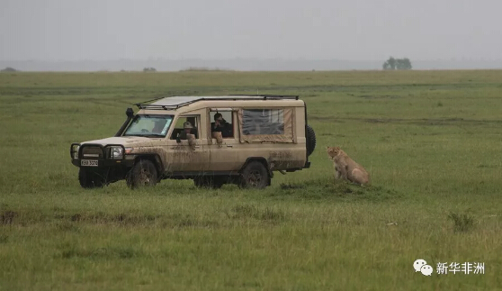 　　3月9日，一架从肯尼亚首都内罗毕飞往马赛马拉大草原的小型客机上，19岁的美国青年巴迪·京特兴奋地拿着数码相机拍摄着窗外的景色，已经在自家农场工作的他在父亲的资助下实现了自己的第一次出国旅行，能够亲自来马赛马拉观看自己心仪已久的野生动物。  　　“这次旅行有点贵，但绝对值得，”巴迪兴奋地说。  　　    　　3月10日，一头猎豹在马赛马拉草原草原上栖息。  　　根据肯尼亚旅游部2月公布的数据，2017年到访肯尼亚的外国游客达147.4万人次，游客超过10万人次的美国和英国排名前两位，中国游客约6.9万人次，在肯尼亚客源国中位居第五。  　　    　　这是3月9日拍摄的晨曦中的东非大裂谷。  　　肯尼亚旅游部长纳吉布·巴拉拉日前在接受新华社记者专访时表示，肯尼亚旅游业一直想进一步开拓中国市场。肯尼亚旅游局曾在中国派驻代表，目前新的驻华代表已获得任命。希望未来一两年每年至少吸引10万人次中国游客到肯尼亚。  　　    　　3月10日，游客在马赛马拉草原拍摄狮子。  　　为此，肯尼亚旅游局联合中国的华为公司举行了“肯尼亚探索新角度”活动，邀请拥有百万粉丝的知名旅游博主刘铮使用华为手机，在一周的时间里记录肯尼亚美丽的自然风光和人文环境，从手机独特的视角让中国游客体会到肯尼亚神奇的魅力。  　　    　　3月8日，刘铮在赤道纪念标志前和当地民众合影留念。  　　在肯尼亚，你可以远眺非洲之巅乞力马扎罗山、徜徉在美丽的印度洋明珠蒙巴萨港、欣赏东非大裂谷的壮丽、在马赛马拉大草原上体会天地的广阔……除了拥有得天独厚的自然条件，肯尼亚在保护野生动物、合理利用自然资源方面也有着丰富的经验：在肯尼亚首都内罗毕，大象孤儿院和长颈鹿保护中心是游客最常去的两个景点，在这里，游客一方面有机会与动物亲密接触，帮助人们理解人与自然和睦相处及保护野生动物的重要性。另一方面，工作人员也会向游客们讲述这些动物背后的故事，讲述盗猎活动对动物群体生存的影响，而这些大象“孤儿”长大之后会被送到各个自然保护区，重新回归自然。  　　    　　3月6日，游客在大象孤儿院参观。  　　    　　3月6日，一名游客在长颈鹿保护中心拍照留念。  　　除了传统的观赏野生动物，现在肯尼亚的另一项旅游活动也正在蓬勃兴起，来到肯尼亚西部小镇伊腾(Iten)，首先映入眼帘的是地标上的英文标语“欢迎来到冠军之乡”。这里就是包括奥运金牌获得者、世界纪录创造者在内的众多肯尼亚中长跑运动员居住、训练的地方。在这个人口四万余人的小镇中，职业赛跑运动员就有3000余人。  　　    　　3月9日，在伊腾镇，长跑运动员在进行晨练。  　　小镇的居民大多属于卡伦金部落。卡伦金人被称作“奔跑的部落”，他们普遍体型修长，拥有一双“细长腿”，极富跑步天赋。现在，全世界越来越多的长跑爱好者选择来到他们心目中的“长跑圣地”住上一段时间，与当地的肯尼亚选手一起训练，提高自己的成绩。随着马拉松热潮在中国的兴起，一些中国游客也开始选择来到伊腾，体验长跑的乐趣。  　　    　　这是3月7日拍摄的肯尼亚奈瓦沙湖畔的河马和白鹈鹕。  　　良好的旅游体验除了需要有丰富的游览内容，相关的软环境也同样重要，来到肯尼亚的游客在大多数餐厅用餐的时候，都会感慨于优美的就餐环境，肯尼亚温润的气候使得这里常年绿树成荫、鲜花盛开，有一种在花园中就餐的惬意。  　　    　　这是3月10日在马赛马拉草原拍摄的狮群。  　　在马赛马拉国家自然保护区里，有一些帐篷酒店就建在马拉河边，为了不影响动物们的生活习性，这些酒店甚至没有围栏，使用太阳能供电，房间之间用树墙相隔，在保证私密性的同时，给了每位游客与自然最大的亲近空间，游客可以在自己房间前的空地上悠然地观赏栖息在马拉河中的河马，这种融入自然的体验也许是很多游客对肯尼亚趋之若鹜的重要原因。  　　    　　这是3月10日拍摄的马拉河中的鳄鱼。  　　作为去过30多个国家的资深旅游“达人”，刘铮表示，他对于旅行最看重的是与人的交流，这次的肯尼亚之行给他印象最深的是当地人的热情与真诚，所有参与旅游服务的工作人员都是深深热爱着自己的工作，努力为游客带来最好的旅游体验。  　　文章来自：新华非洲