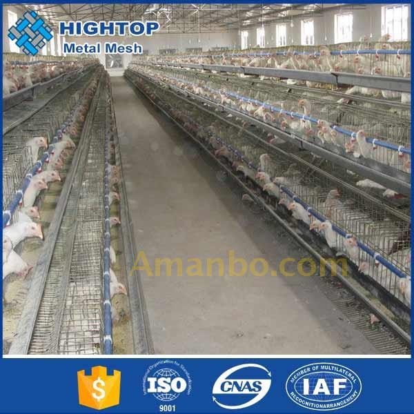 Poultry Farm Layer Chicken Battery Cages Price For Pakistan Farm